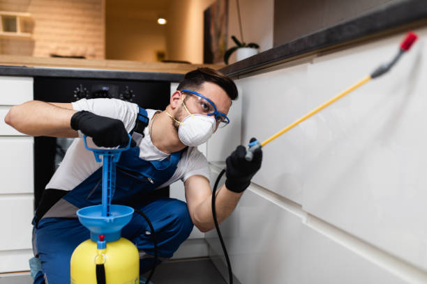 Best Local Pest Control Services  in Fall City, WA