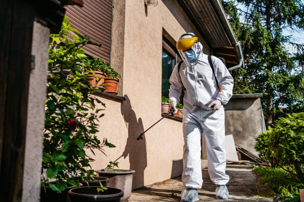 Best Bird Control  in Fall City, WA
