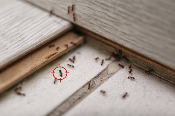  Fall City, WA Pest Control Pros
