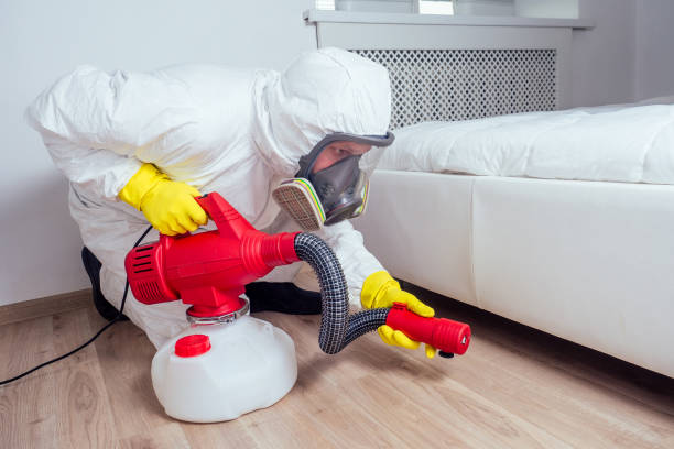 Best Flea Control Services  in Fall City, WA