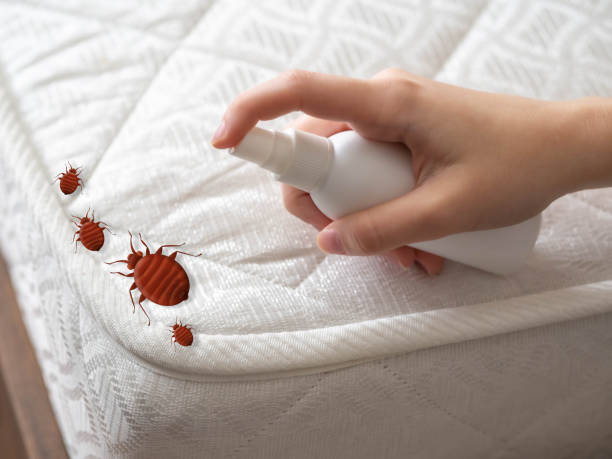 Professional Pest Control in Fall City, WA
