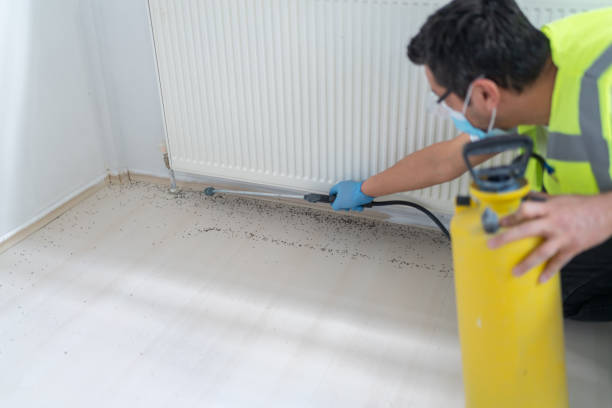 Trusted Fall City, WA Pest Control Experts